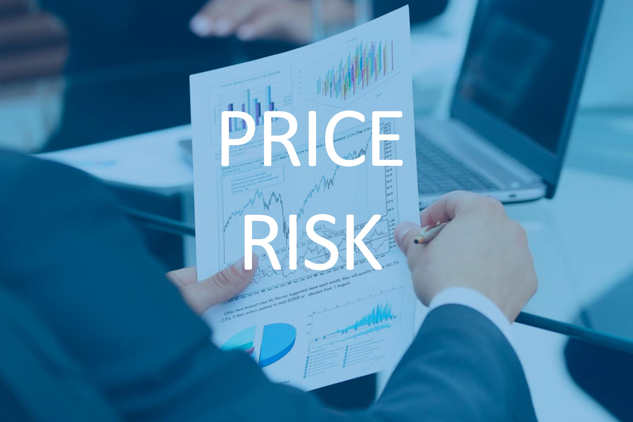 Price Risk Management 